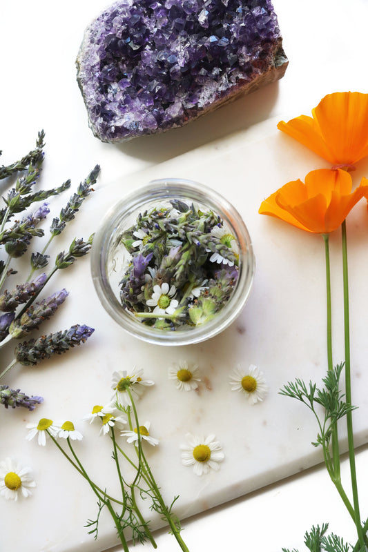 California Poppy Potion Tincture
