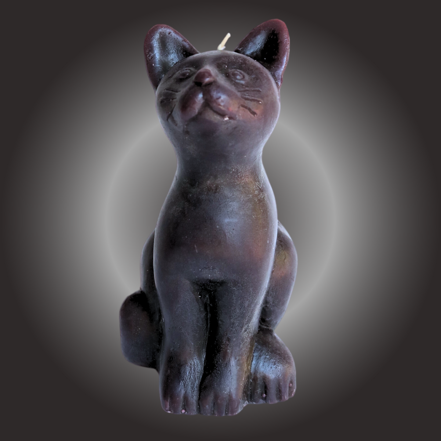 Black Cat Good Luck Figure Candle