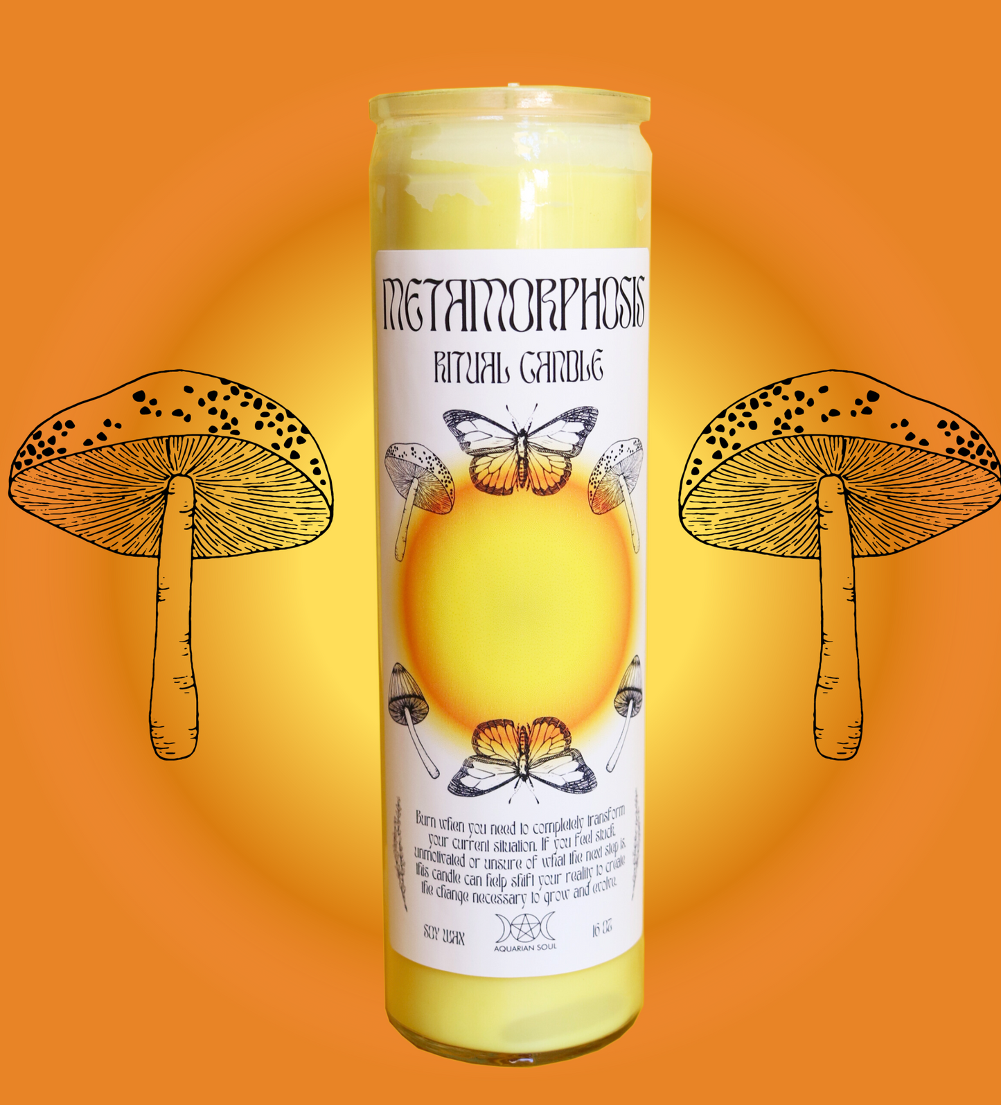 Metamorphosis 7 Day Ritual Candle