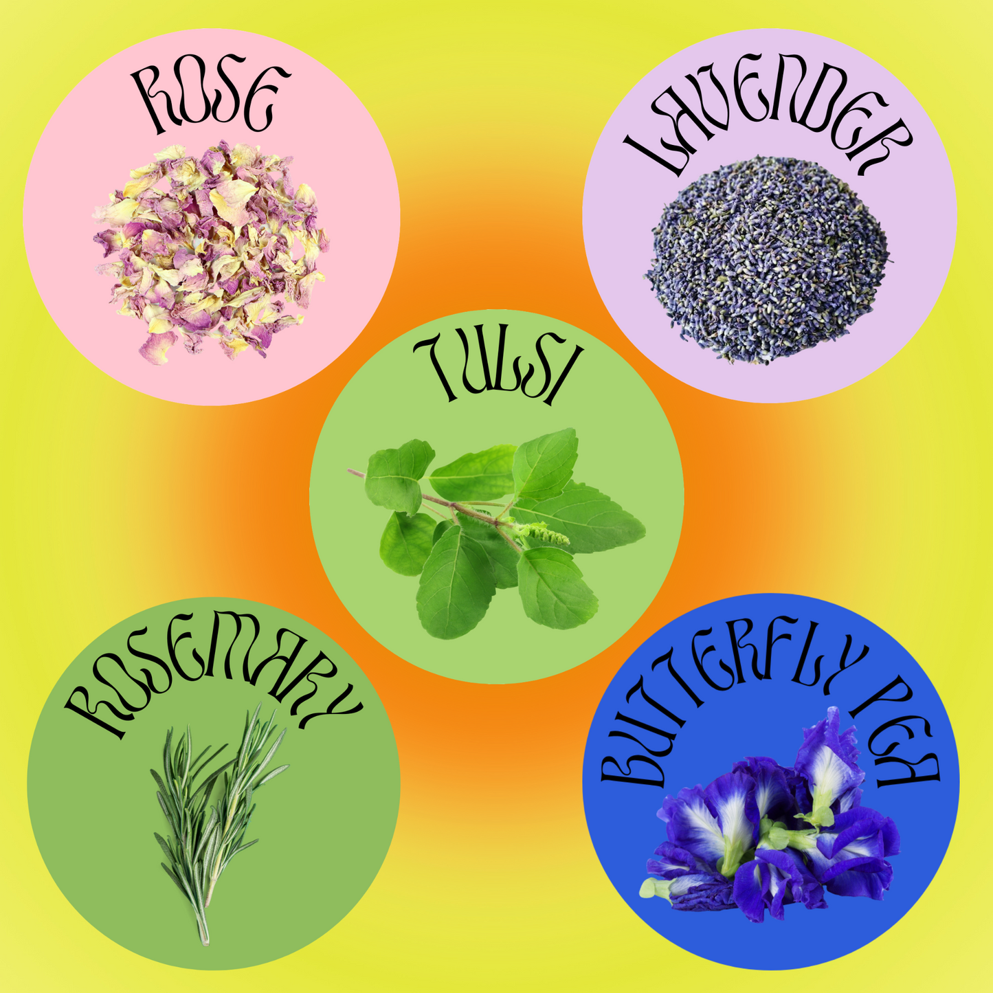 Metamorphosis 7 Day Ritual Candle Dressing Kit