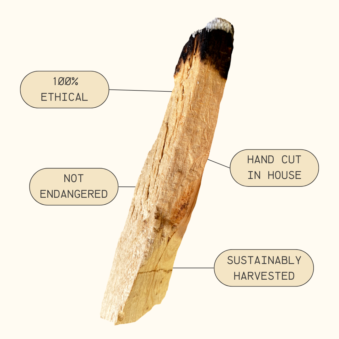 Palo Santo