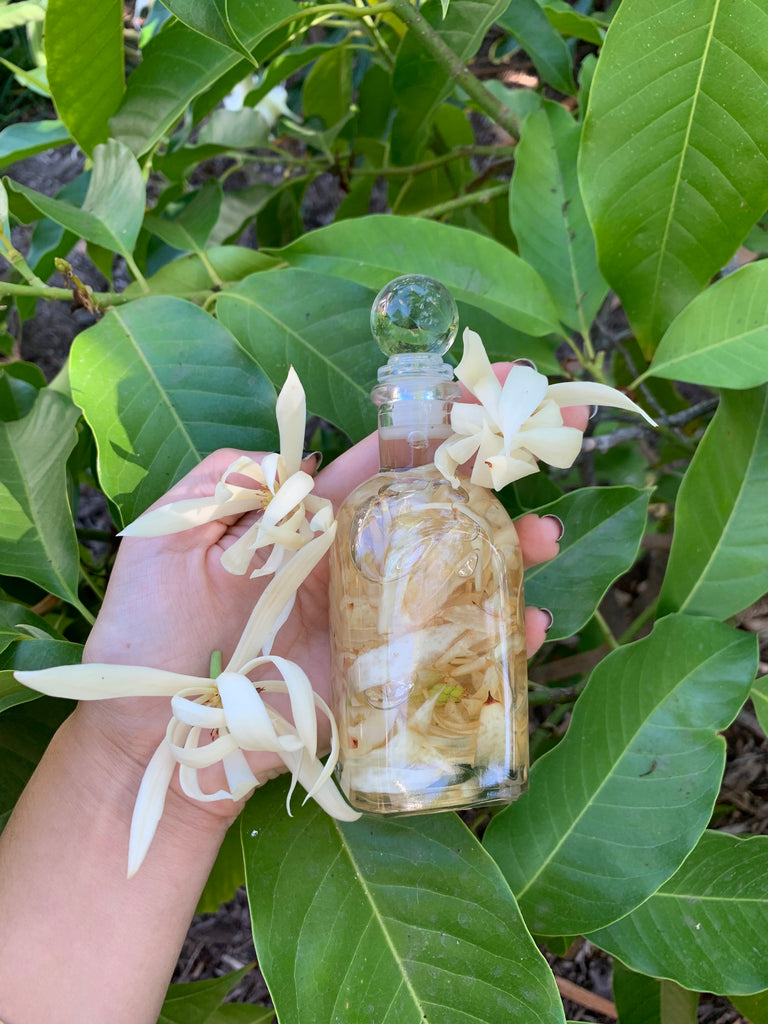 Champaca Flower Solid Perfume
