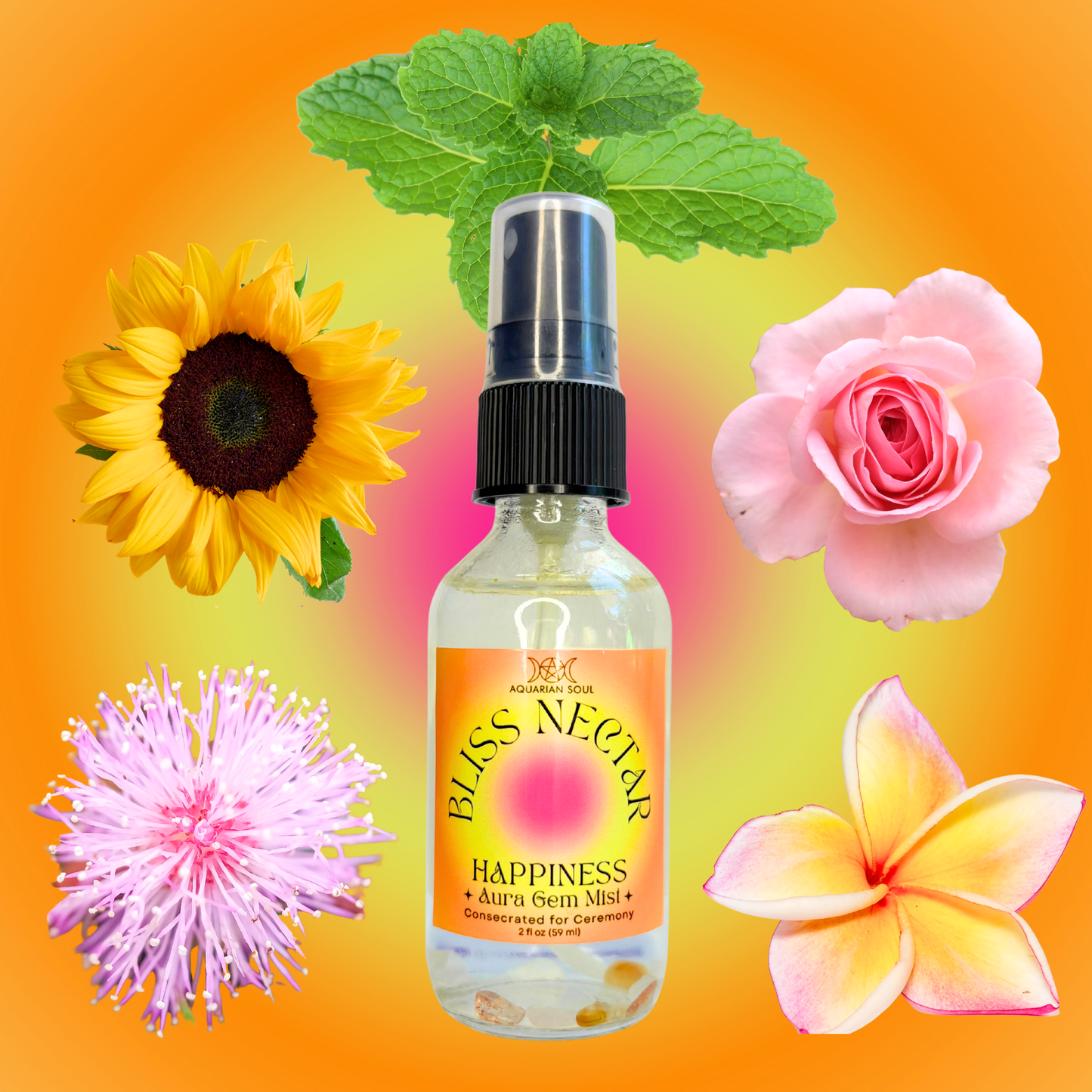 Bliss Nectar Aura Gem Mist